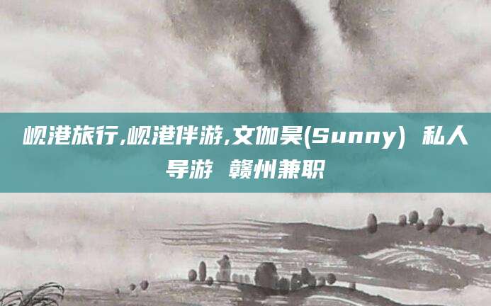 攸县岘港旅行,岘港伴游,文伽昊(Sunny) 私人导游 赣州兼职