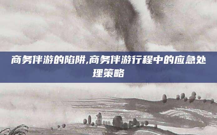 攸县商务伴游的陷阱,商务伴游行程中的应急处理策略